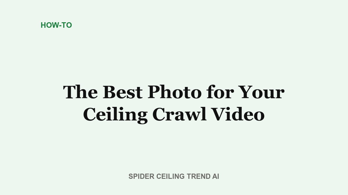 The Best Photo to Use for Your Ceiling Crawl AI Video
